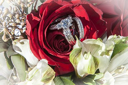 Wedding rings in a red rose