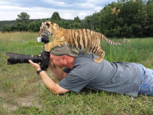 Brody laying on the ground with camera, and baby tiger Rousy on his back.
