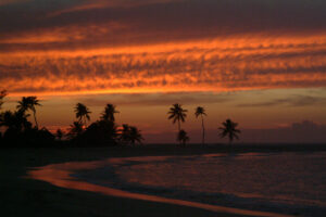 A glowing red sky of a Bahama sunset behind the silhouette of palm trees on the beach.